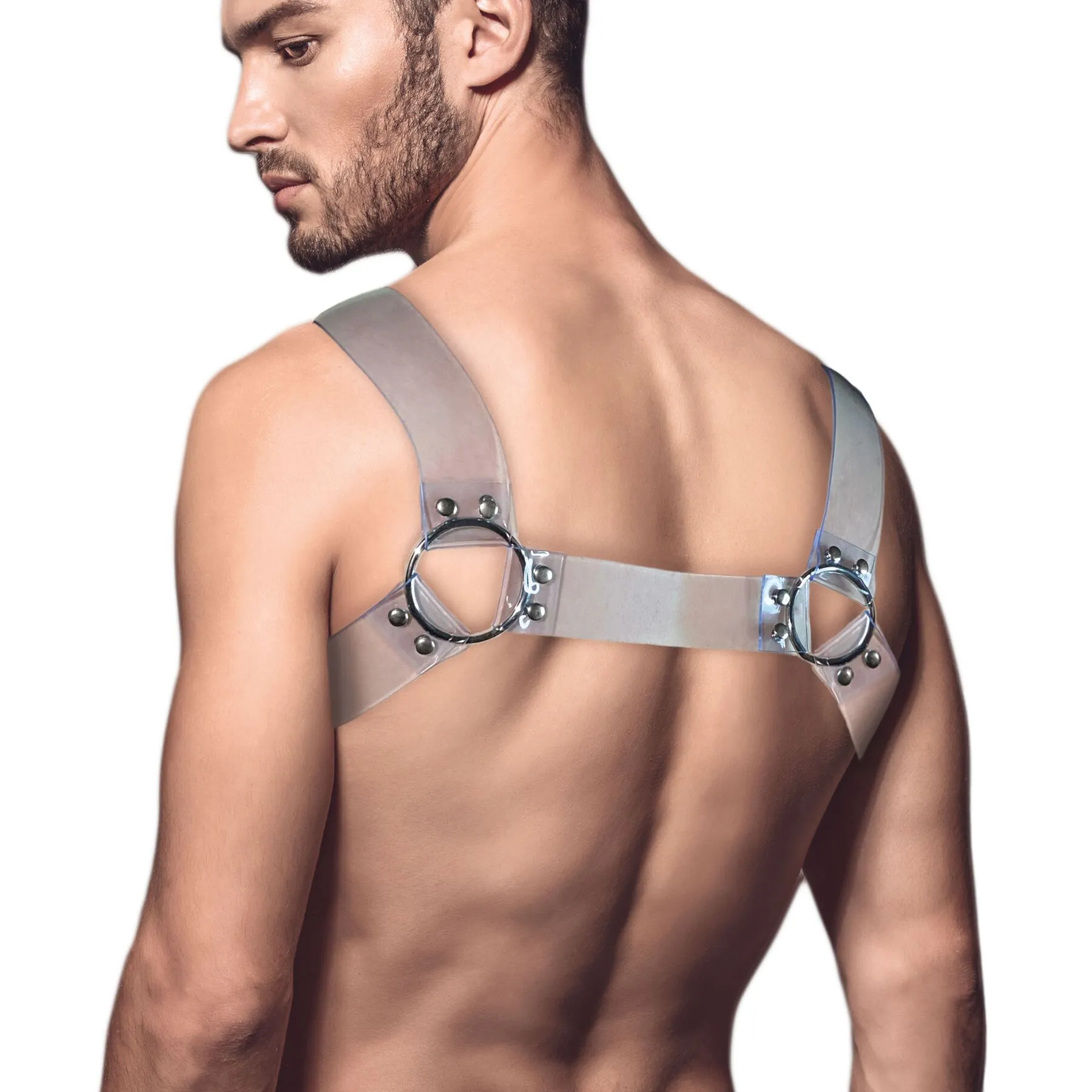 feral-feelings-bulldog-harness-transparent-1 feral-feelings-bulldog-harness-transparent-1